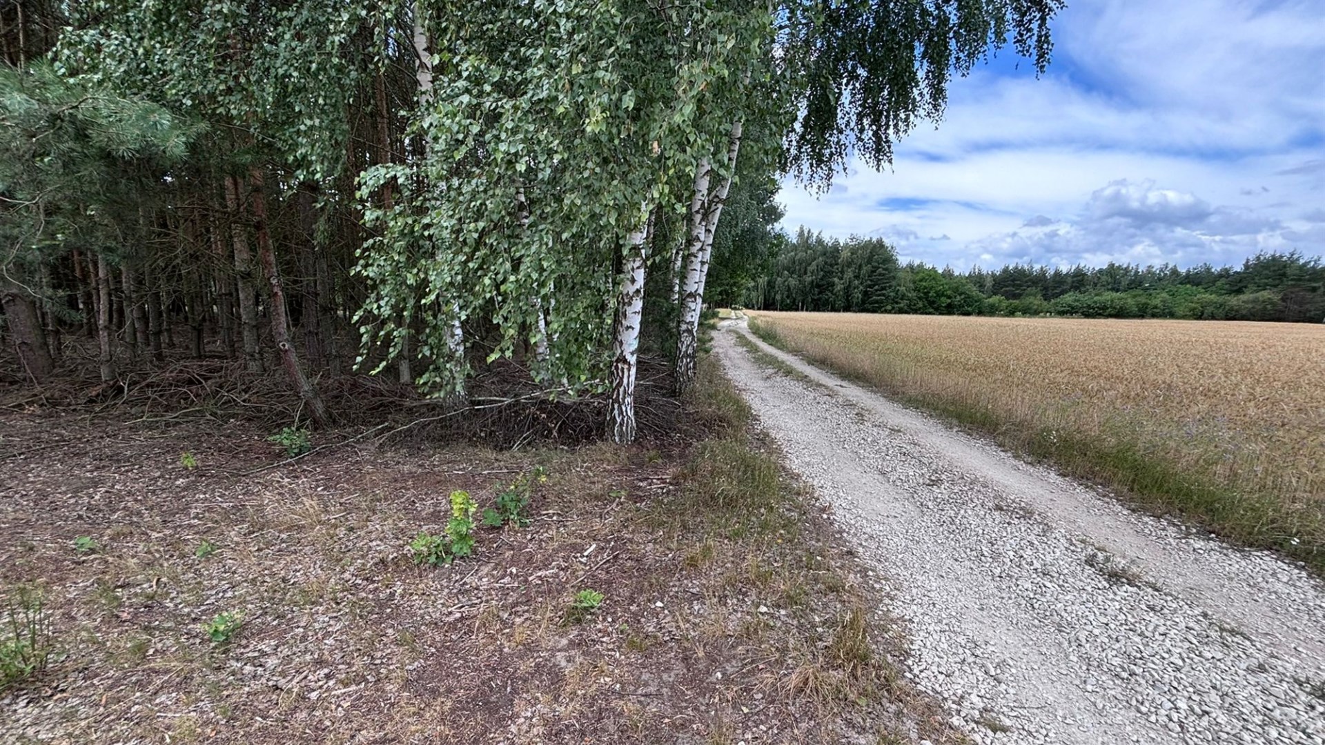 Działka na sprzedaż